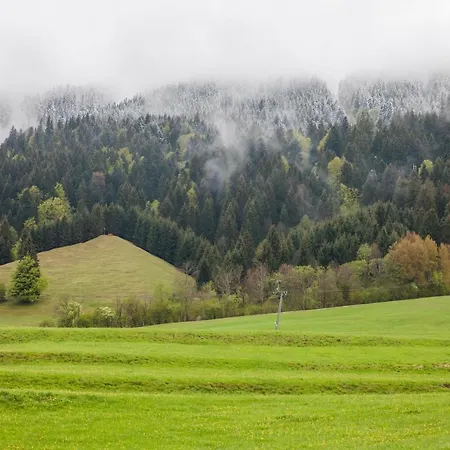 Chalet-pfronten Daire Pfronten